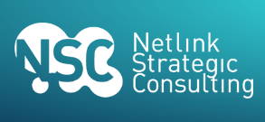 Netlink Strategic Consulting